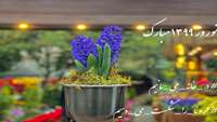 نوروز 99 مبارک