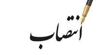 انتصاب سرپرست مدیریت بیمارستان معتمدی گرمسار